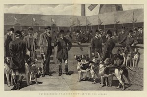 Peterborough Foxhound Show, a bírák előtt